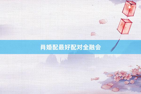 肖婚配最好配对全融会